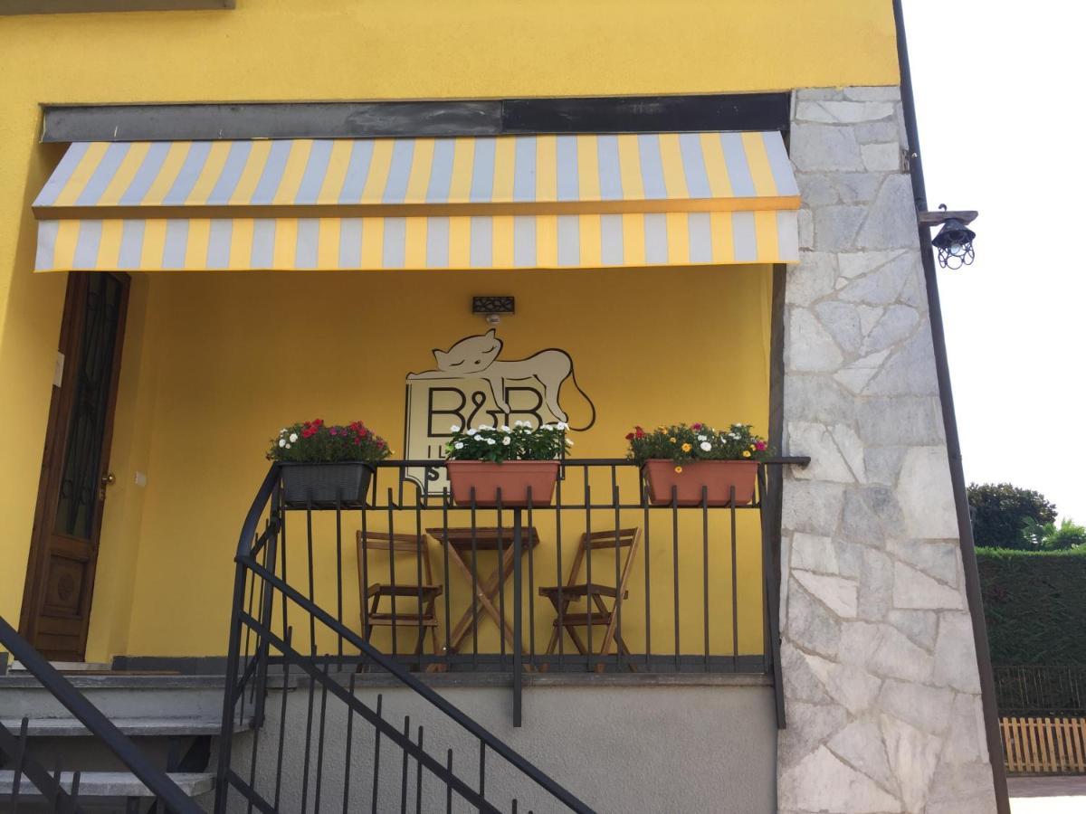 Il Gatto Stanco B&B Арона Екстериор снимка